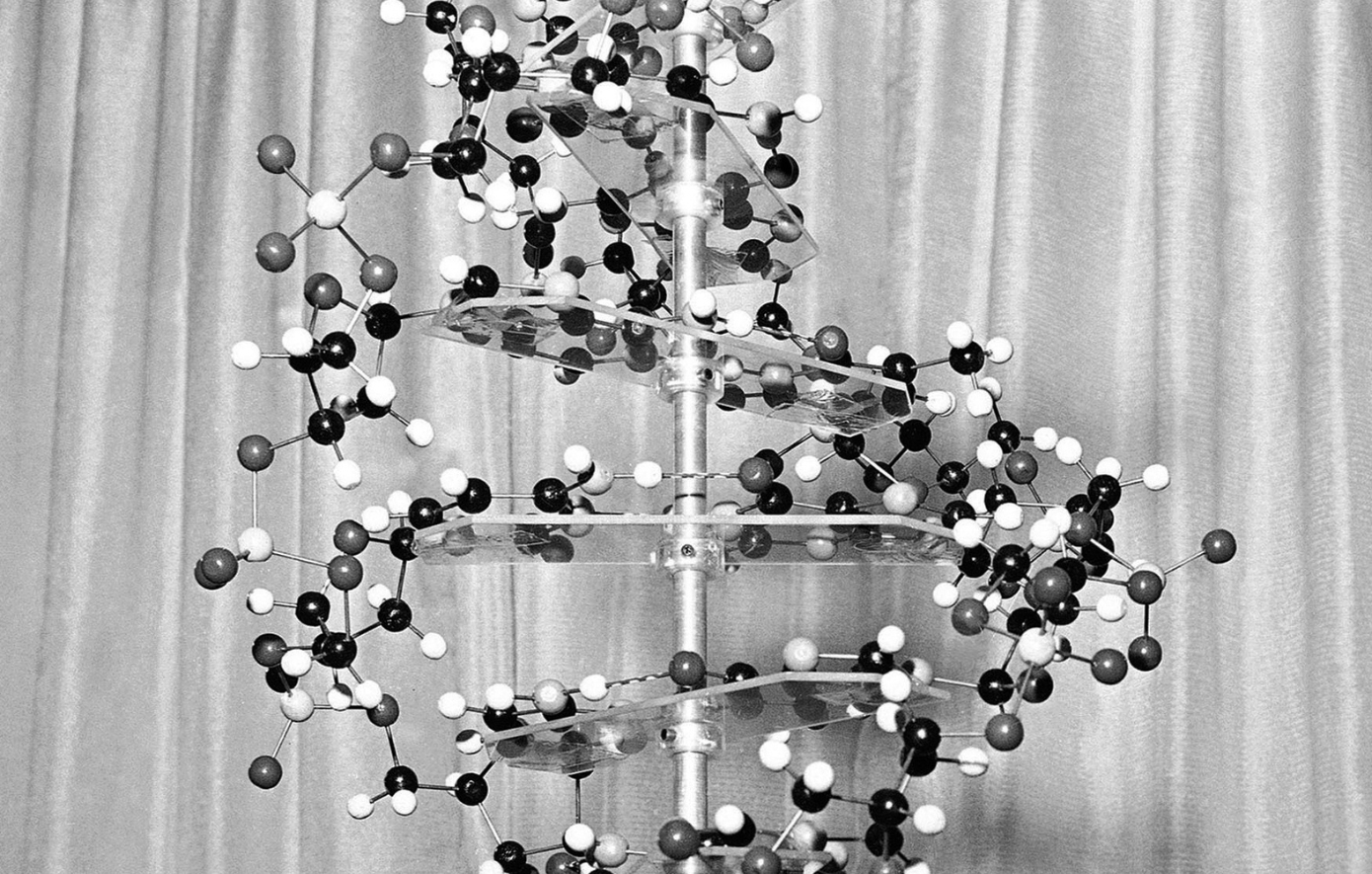 Η διπλή έλικα του DNA και η επιστήμονας που δεν τιμήθηκε ποτέ