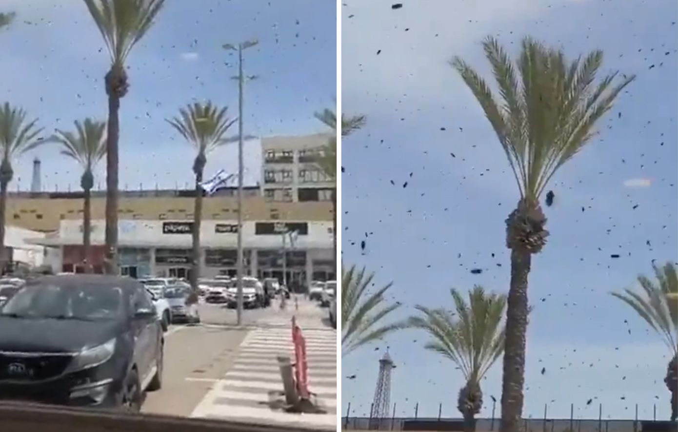 Τεράστιο σμήνος από μέλισσες κατέκλυσε το Ισραήλ &#8211; Δείτε το βίντεο