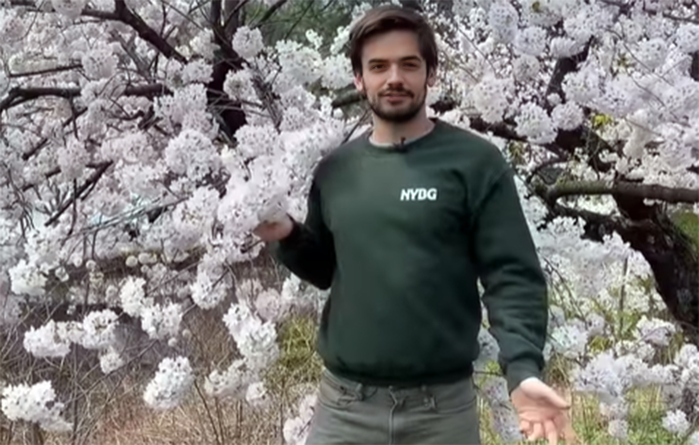 Επιστήμονας του Βοτανικού Κήπου της Νέας Υόρκης δέχτηκε σεξουαλική παρενόχληση στα social media και τα σχόλια «κόπηκαν»