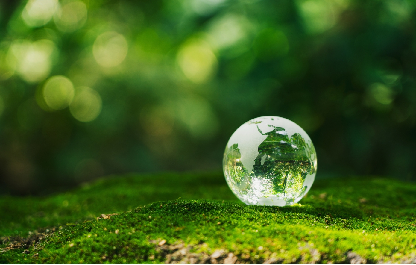 Πράσινο αποτύπωμα με… φαρμακευτική υπογραφή: Η Boehringer Ingelheim επενδύει στο μέλλον της Γης