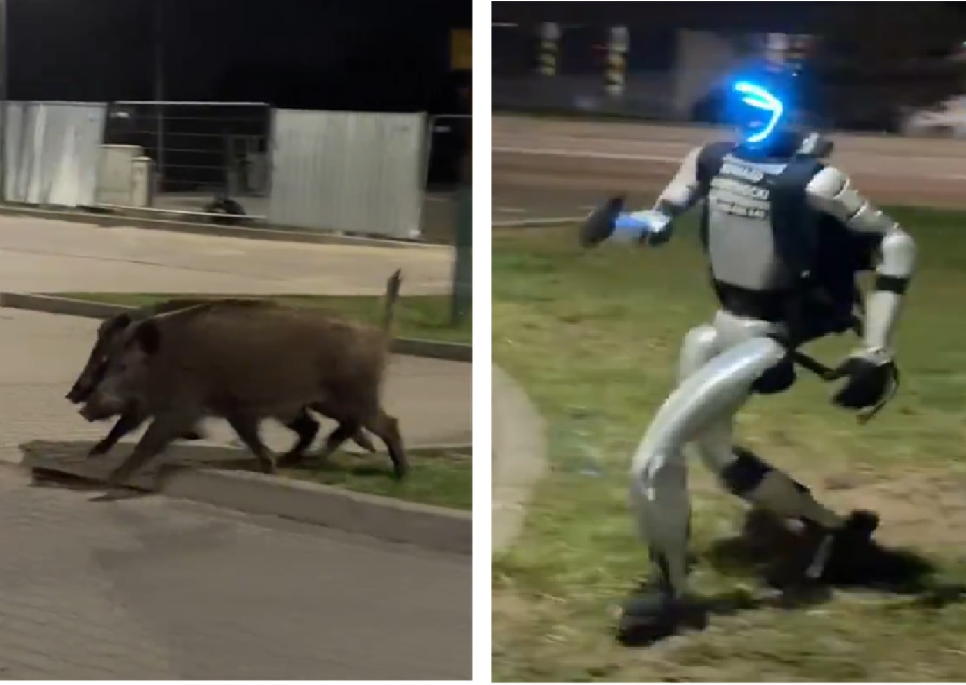 Ρομπότ κυνηγά αγριογούρουνα και γίνεται viral &#8211; Το απίστευτο βίντεο από την Πολωνία