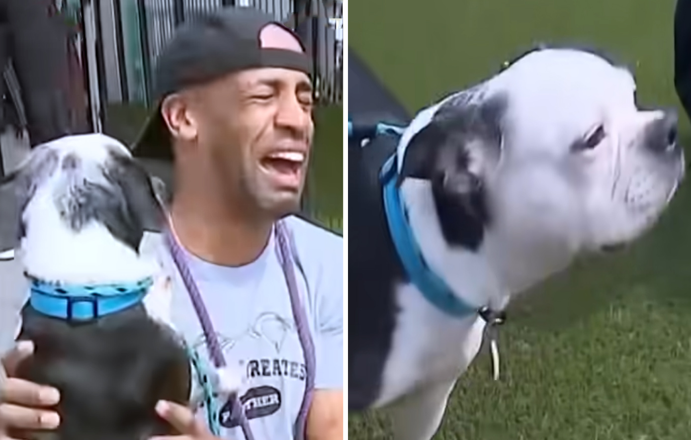 Άνδρας βρήκε ξανά τον σκύλο του έπειτα από τρία χρόνια &#8211; Δείτε τη συγκινητική στιγμή της επανένωσής τους