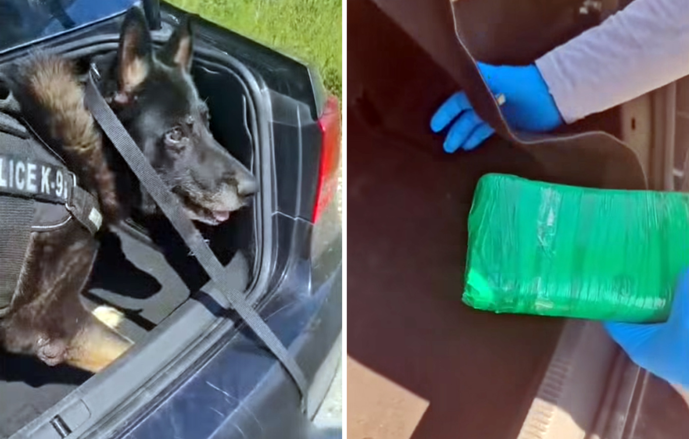 Αστυνομικός σκύλος στη Θεσσαλονίκη «ξετρύπωσε» πάνω από ένα κιλό κοκαΐνης σε πορτμπαγκάζ αυτοκινήτου