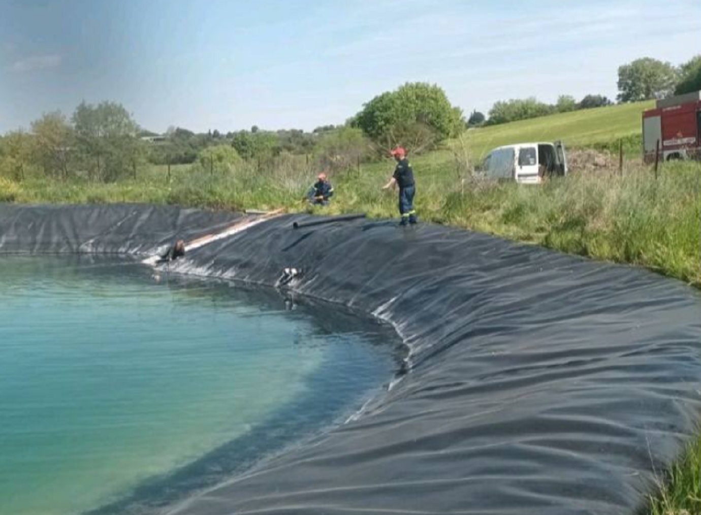 Μεγαλόσωμα σκυλιά εγκλωβίστηκαν σε ταμιευτήρα στην Κατερίνη &#8211; Το συγκλονιστικό βίντεο διάσωσής τους