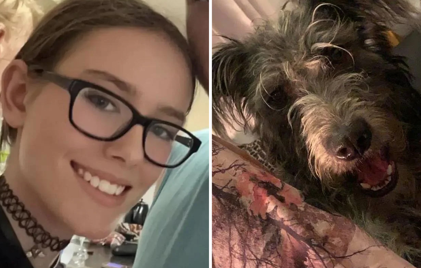 Αυτός είναι ο σκύλος που κατασπάραξε την 19χρονη στη Βρετανία μετά από 7 χρόνια στο σπίτι &#8211; Κοιμόντουσαν μαζί τη δάγκωσε στο λαιμό