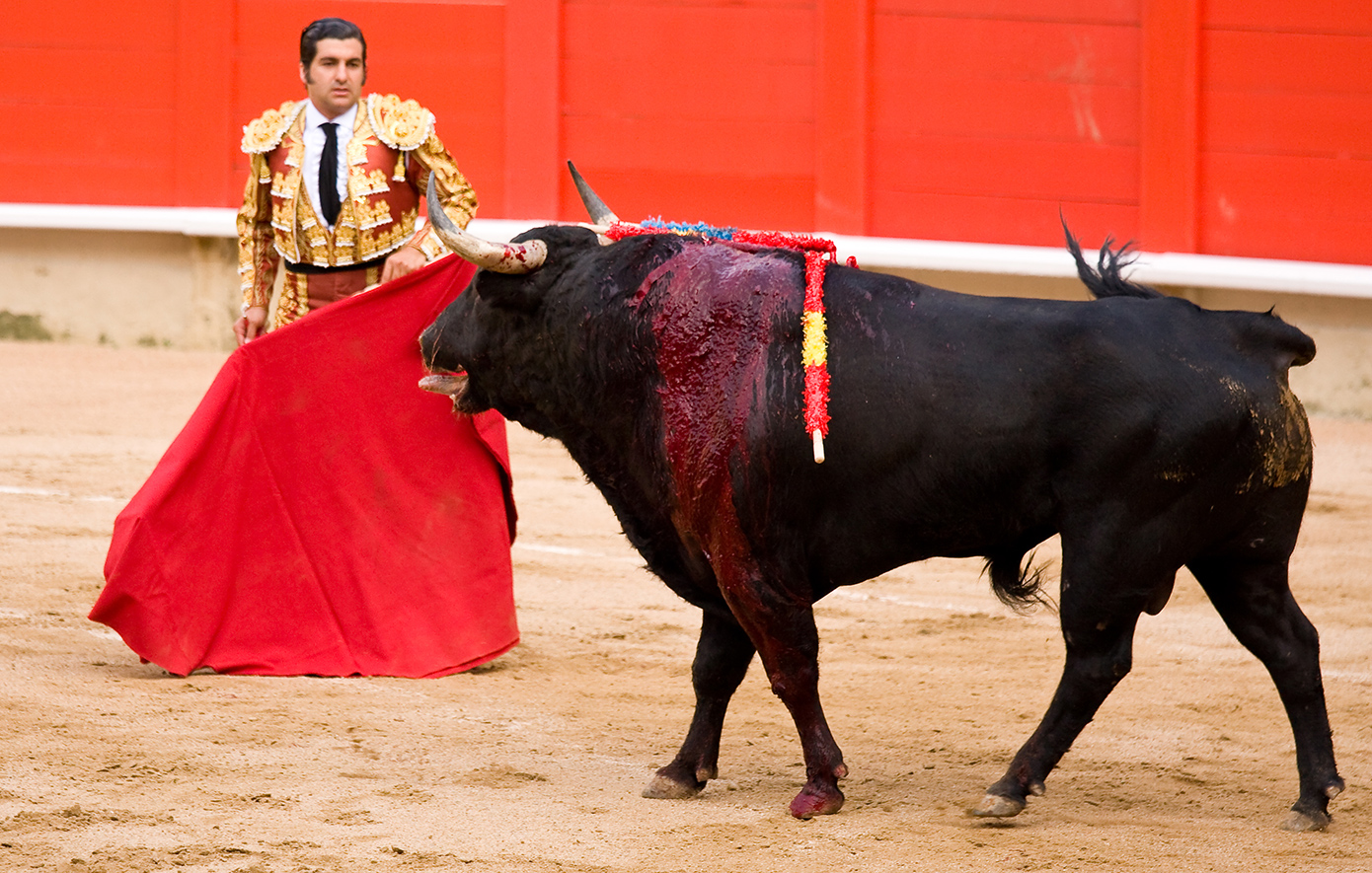 Διάσημος Ισπανός ταυρομάχος υπέστη ταπεινωτικό τραυματισμό λόγω λάθους κατά τη διάρκεια ταυρομαχίας