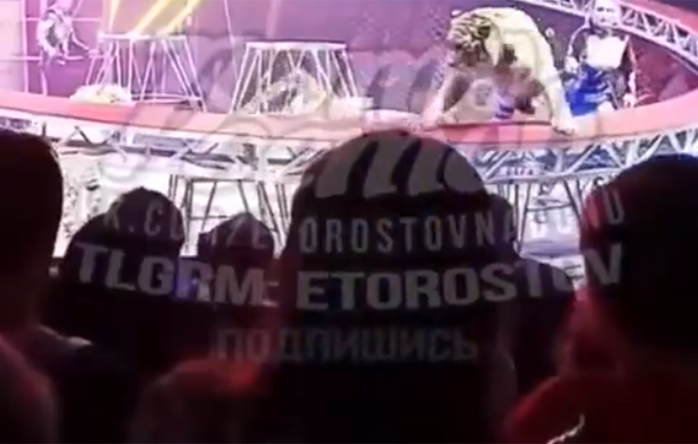 Τρόμος σε τσίρκο στη Ρωσία: Τίγρης κυκλοφορούσε στις κερκίδες &#8211; Έντρομο το κοινό