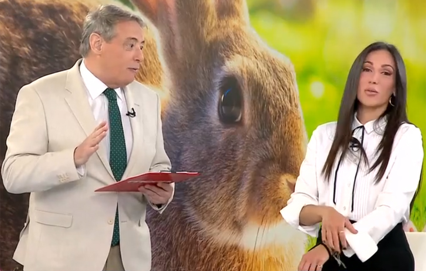 Η ατάκα της Ανθής Βούλγαρη στον Ιορδάνη Χασαπόπουλο: «Πας φιρί φιρί να χωρίσεις»