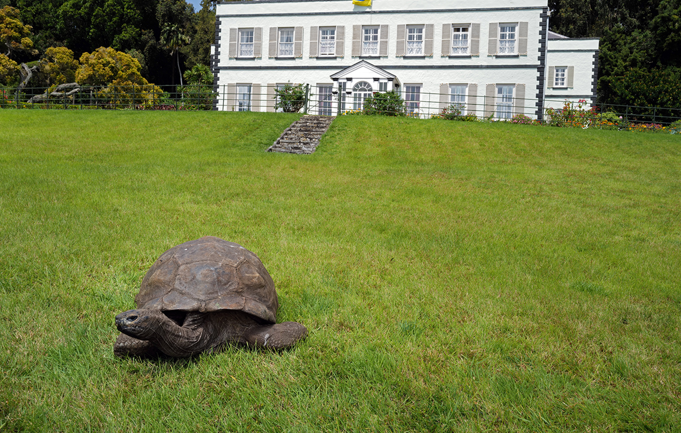 Διαψεύδονται οι φήμες περί θανάτου της γηραιότερης χελώνας στον κόσμο &#8211; «Ο Τζόναθαν είναι 193 ετών και είναι καλά»