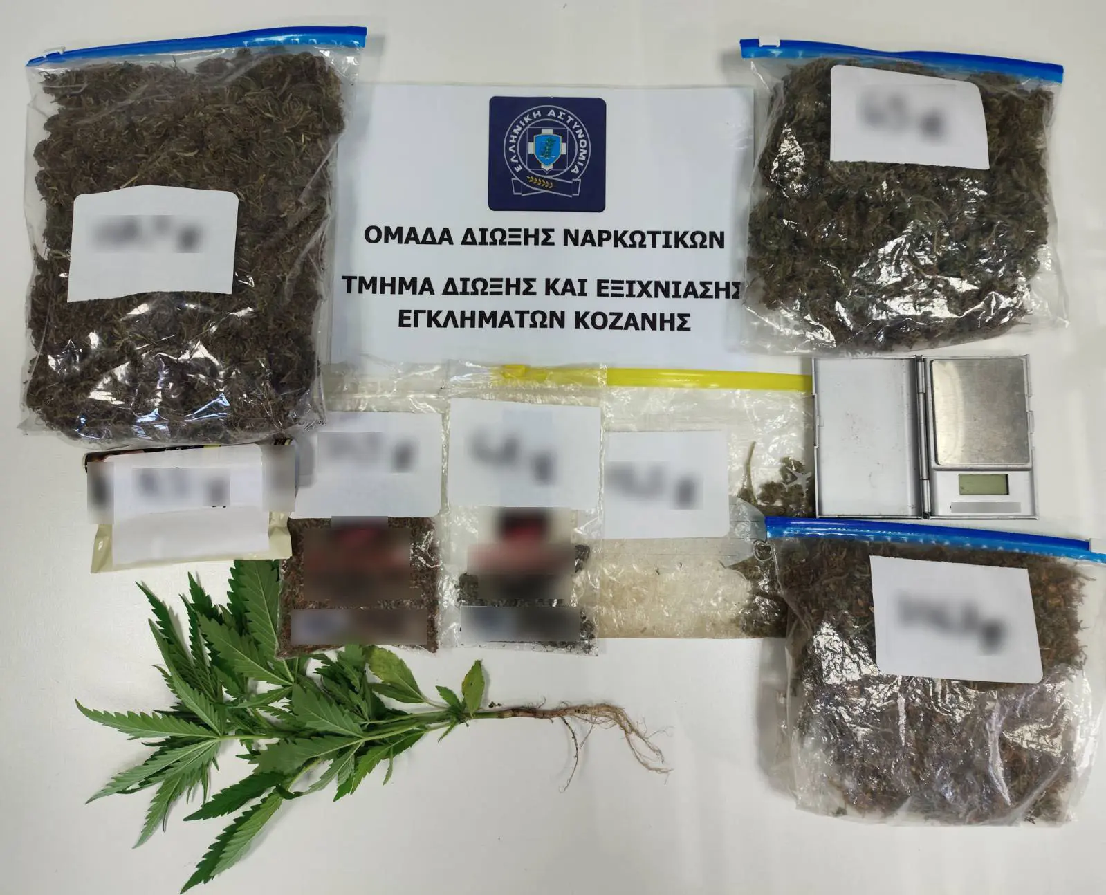 Κοζάνη: Συνελήφθη 51χρονος για διακίνηση ναρκωτικών &#8211; Κατασχέθηκαν 383 γραμμάρια ακατέργαστης κάνναβης