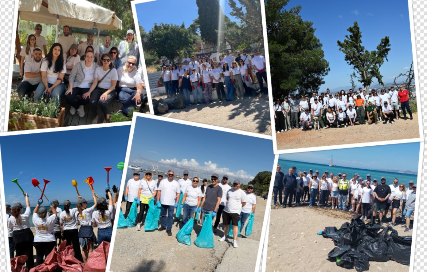 MSD Gives Back: 200 εργαζόμενοι της MSD Ελλάδας σε δράσεις για το περιβάλλον και τη βιωσιμότητα
