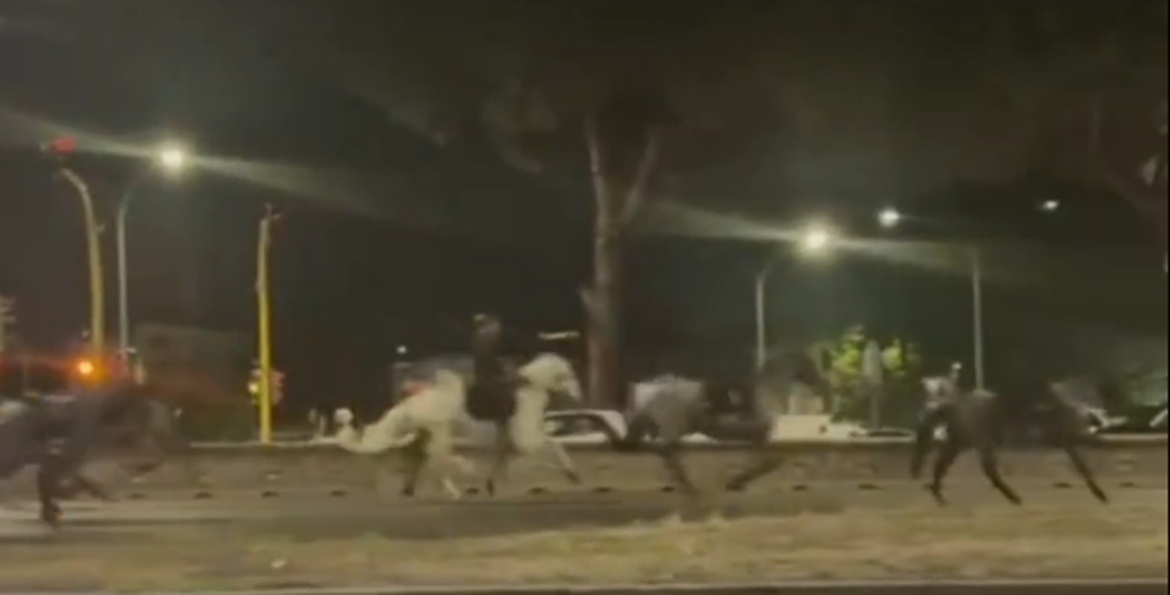 Αφήνιασαν 30 άλογα που επρόκειτο να πάρουν μέρος σε παρέλαση σε λεωφόρο της Ρώμης &#8211; Πέντε άνθρωποι τραυματίστηκαν
