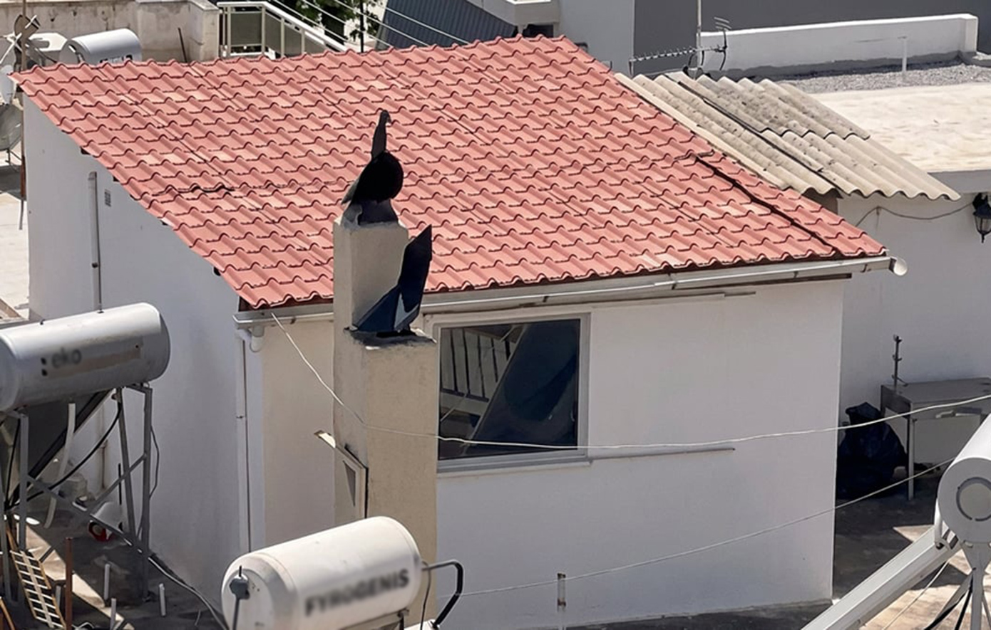 Το δώμα των 27 τ.μ. και τα έξι παιδιά που ζούσαν μέσα σε ακαθαρσίες στο Περιστέρι: Στο Παίδων εξακολουθούν να νοσηλεύονται τα αδέρφια