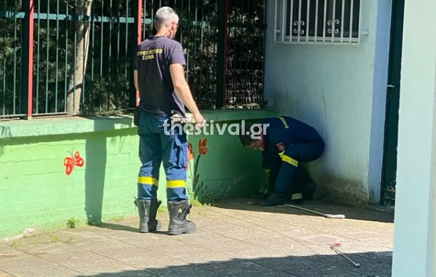Συναγερμός μετά την εμφάνιση φιδιών σε νηπιαγωγείο στις Συκιές Θεσσαλονίκης &#8211; Οι γονείς φοβούνται να στείλουν τα παιδιά σχολείο