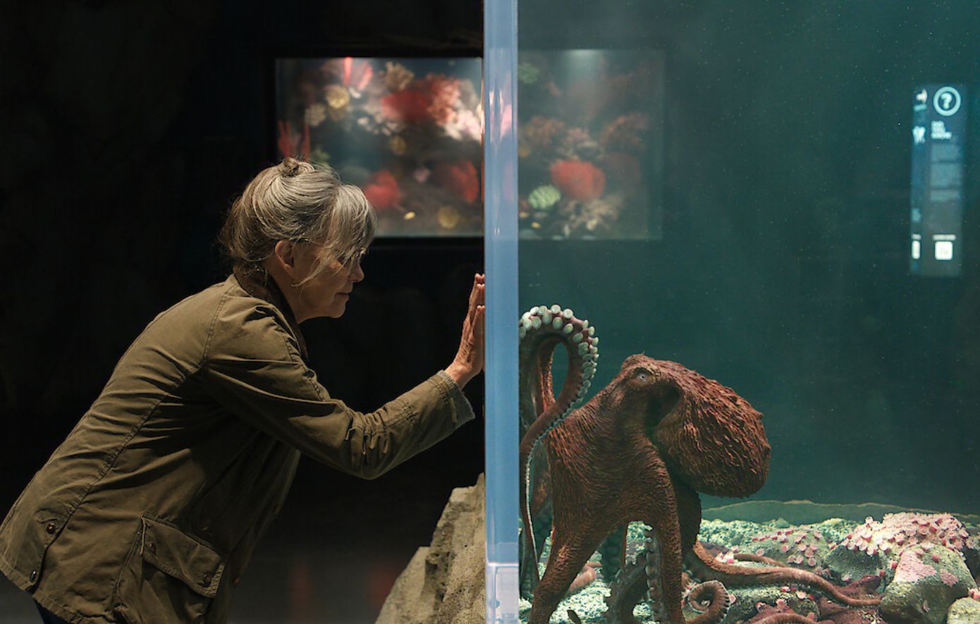 «Remarkably Bright Creatures»: Το νέο συγκινητικό στοίχημα του Netflix κερδίζει κοινό και κριτικούς