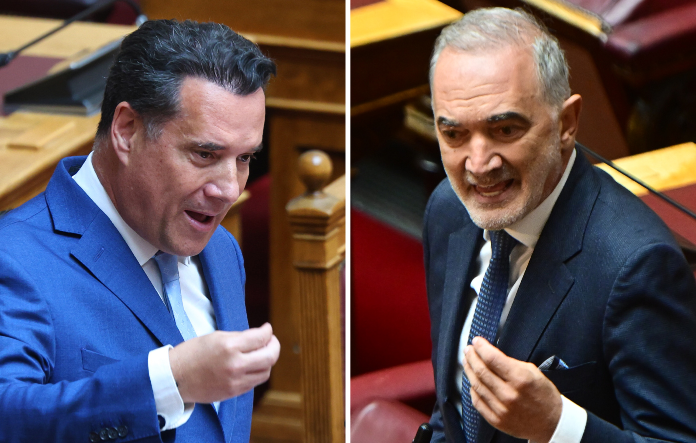 Νέος καυγάς στη Βουλή: Ο Άδωνις Γεωργιάδης κατά του Μάριου Σαλμά &#8211; «Είστε άσχετος ή εκπρόσωπος συγκεκριμένης εταιρείας»