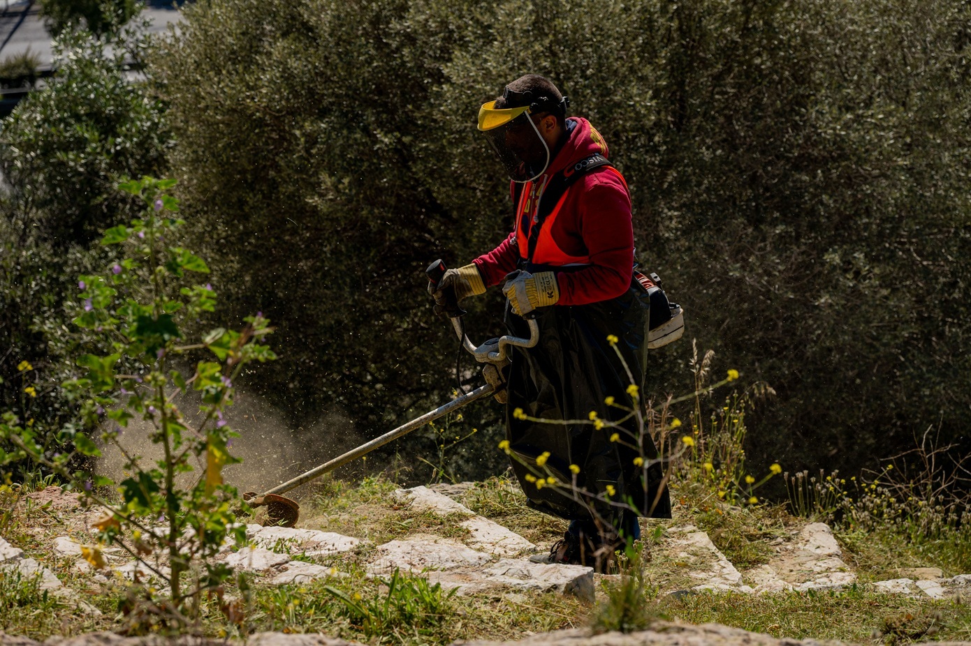 Καθαρισμός οικοπέδων: Νέα προθεσμία έως και τις 22 Ιουνίου &#8211; Τα πρόστιμα και όσα πρέπει να γνωρίζετε