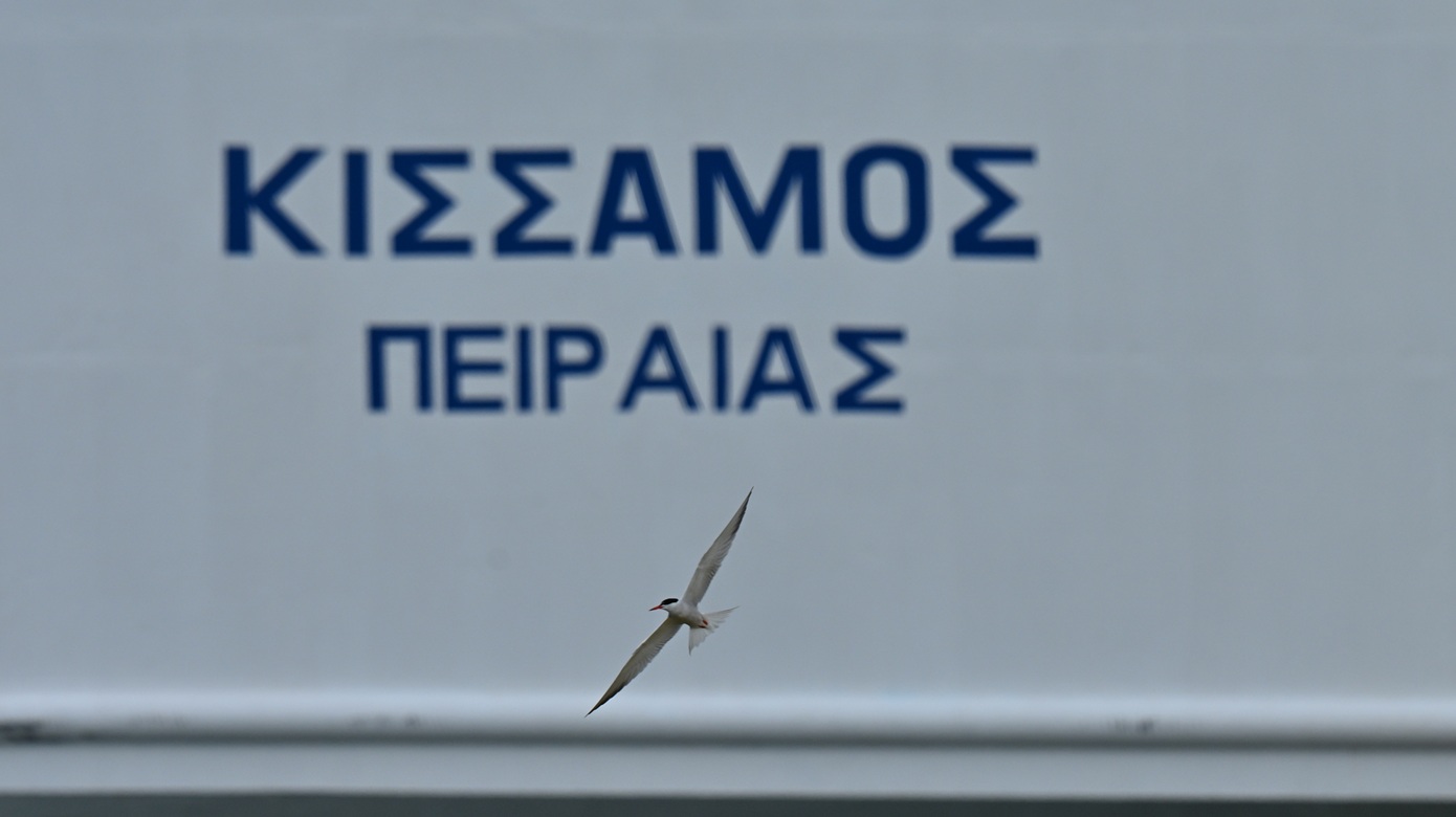 Σε εξέλιξη ο έλεγχος για το αξιόπλοο του Ε/Γ-Ο/Γ «Κίσσαμος» &#8211; Το πλοίο προσάραξε τα ξημερώματα σε αβαθή στη Μήλο