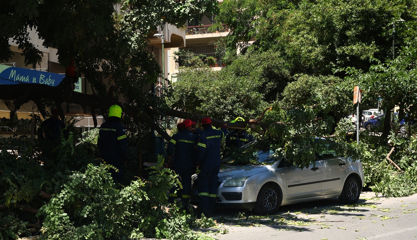 Οι άνεμοι έριξαν δέντρο που καταπλάκωσε όχημα στη Μιχαλακοπούλου, με τον οδηγό του εντός – Καταγράφηκαν ριπές 124χλμ/ώρα
