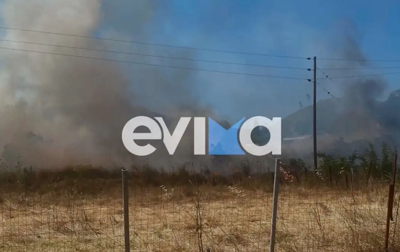 Φωτιά τώρα στην Εύβοια στην περιοχή Σπαθάρι &#8211; Σηκώθηκαν εναέρια μέσα