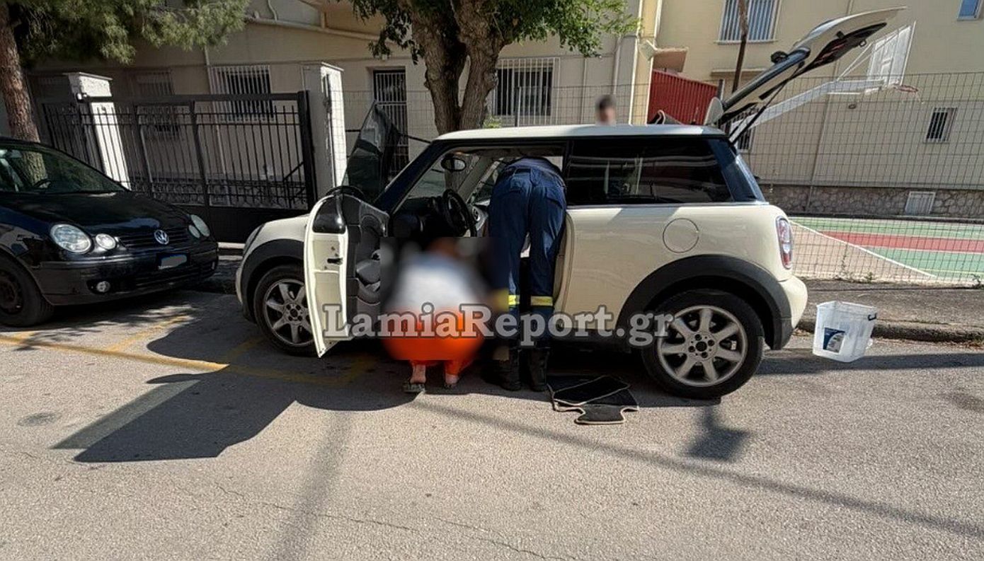 Φίδι τρύπωσε σε σταθμευμένο αυτοκίνητο στη Λαμία και κρύφτηκε στο ταμπλό