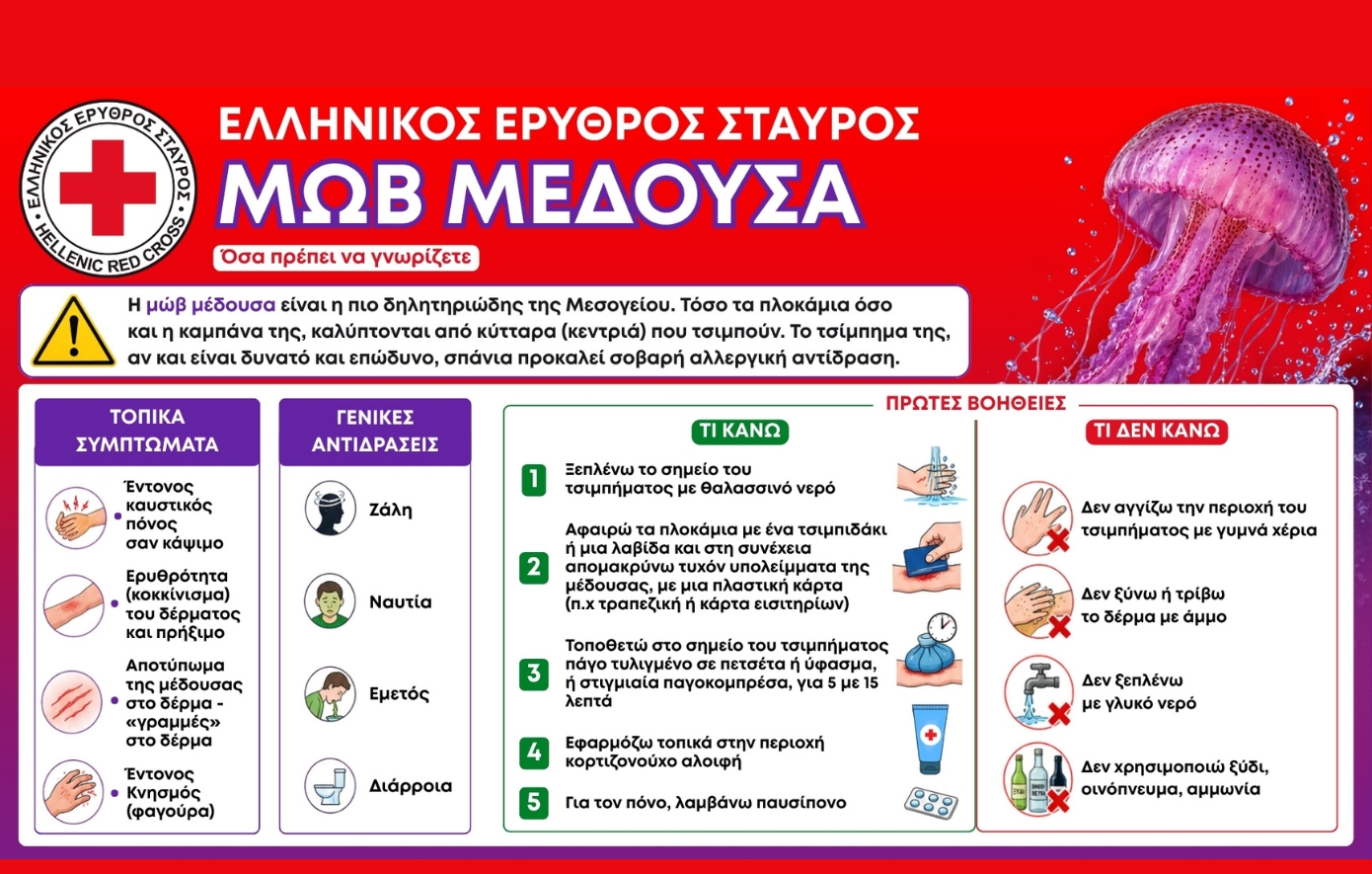 Καλοκαίρι με ασφάλεια: Τι να κάνετε αν σας τσιμπήσει μωβ μέδουσα