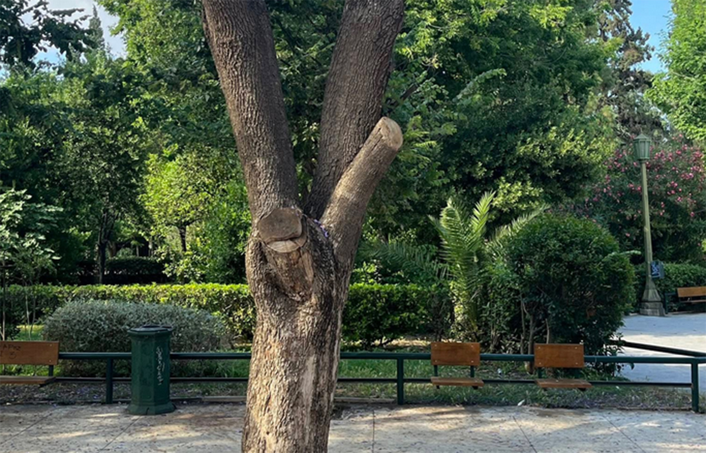 Καταδρομική ομοφοβική επίθεση νταήδων στο Ζάππειο &#8211; Τους έπιασαν επ’ αυτοφώρω μετά από καταγγελία