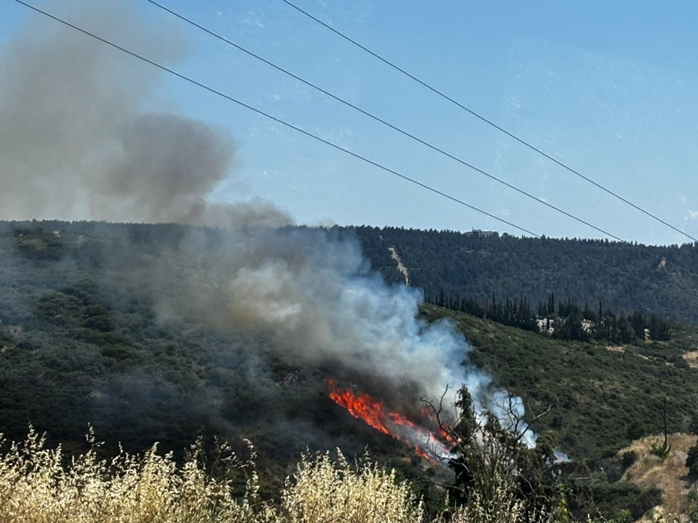 Τρεις συλλήψεις στη Θεσσαλονίκη για τη δασική πυρκαγιά στο Φίλυρο