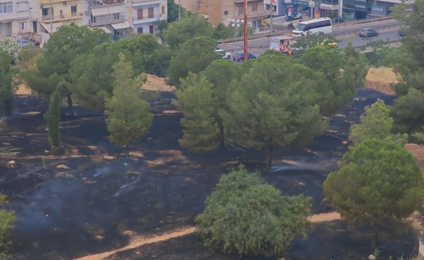 Οριοθετήθηκε η φωτιά που εκδηλώθηκε στη Φιλοθέη, κοντά στο Άλσος Βεΐκου