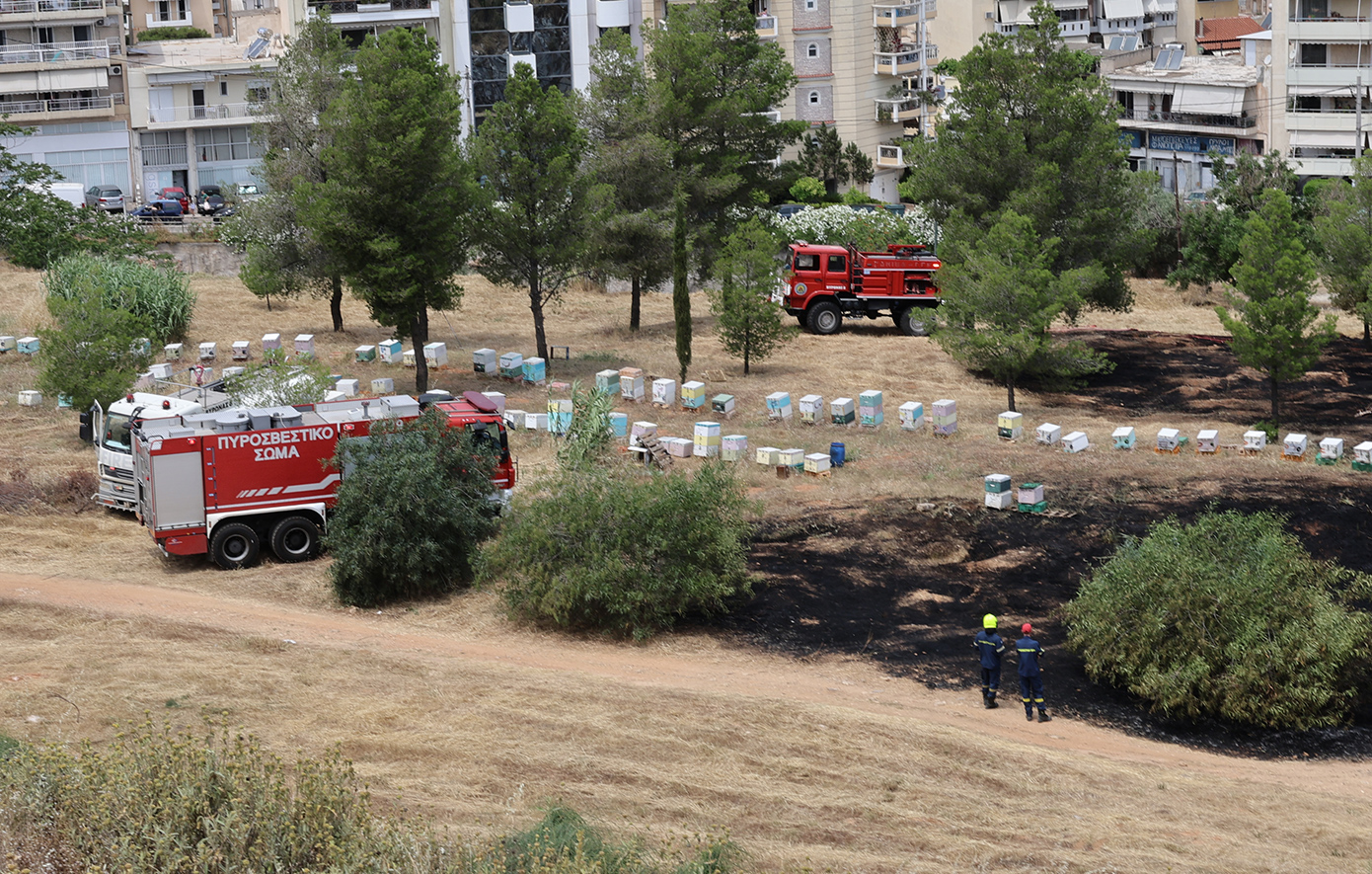 Υπό έλεγχο η φωτιά που ξέσπασε στη Φιλοθέη, κοντά στο Άλσος Βεΐκου