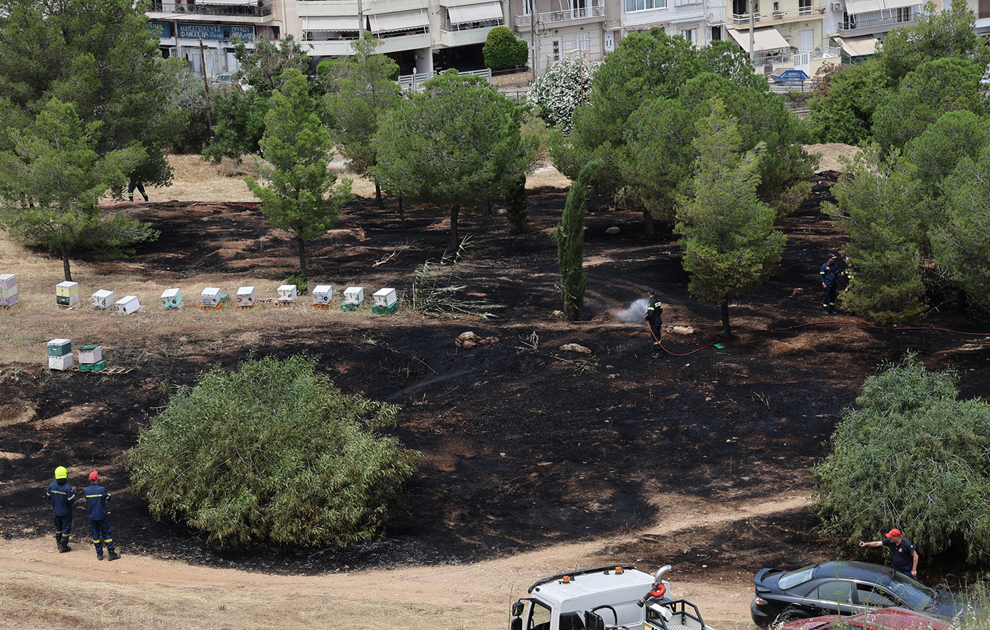 Υπό έλεγχο η φωτιά που ξέσπασε στη Φιλοθέη, κοντά στο Άλσος Βεΐκου