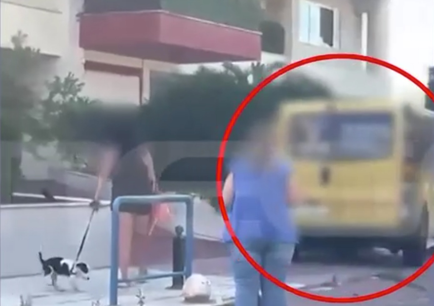 Παλαιό Φάληρο: Μεθυσμένη οδηγός με κλεμμένο βαν χτύπησε σταθμευμένα οχήματα και προσπάθησε να φύγει πεζή &#8211; Δείτε βίντεο