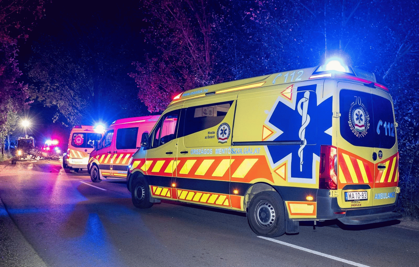Υπόθεση κανιβαλισμού στην Ουγγαρία: Νοσοκομειακός υπάλληλος φέρεται να παραδέχθηκε ότι κατανάλωσε ανθρώπινα μέλη