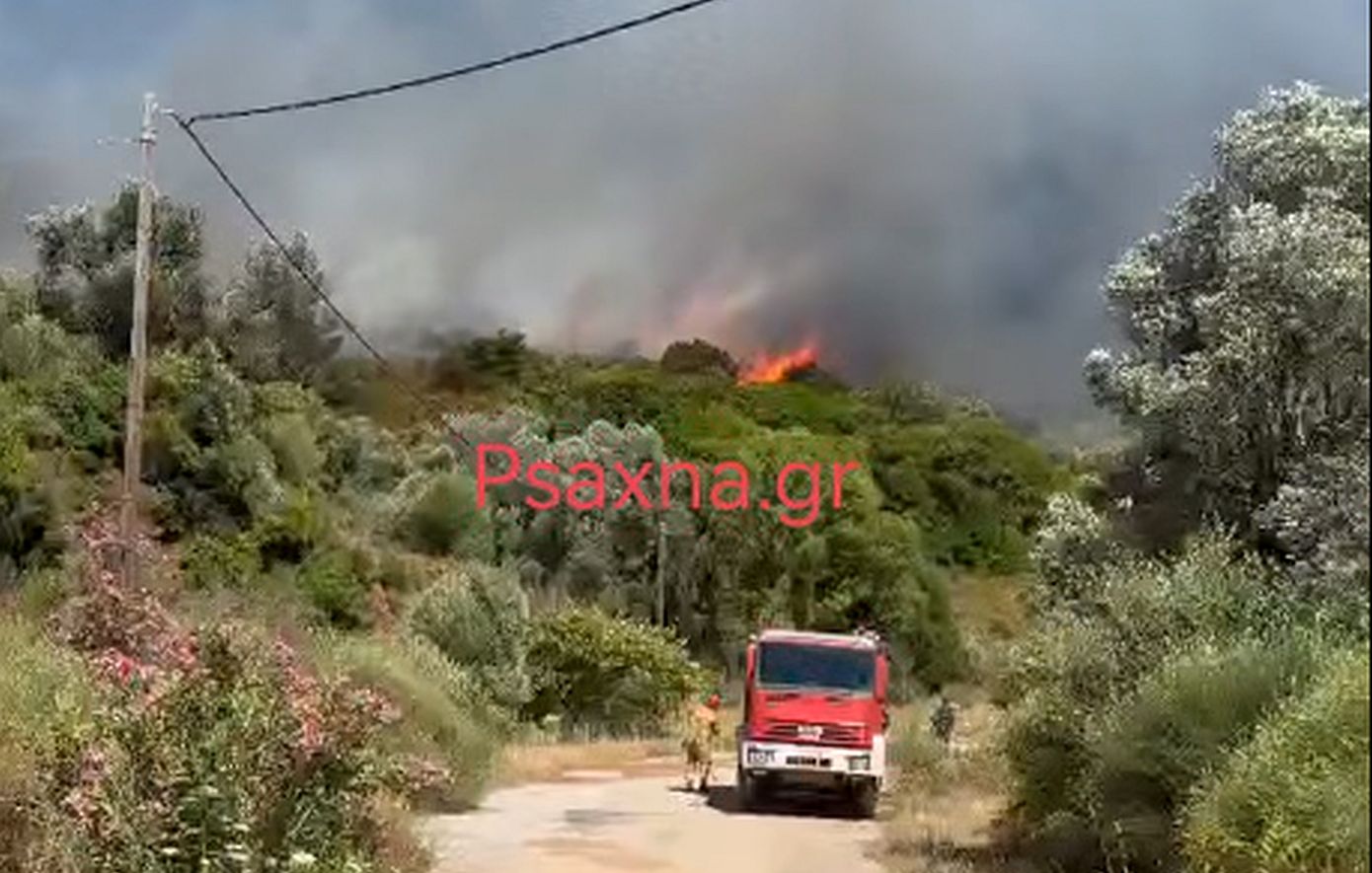 Φωτιά σε δασική έκταση στην Αλμυροπόταμο Ευβοίας &#8211; Ήχησε το 112