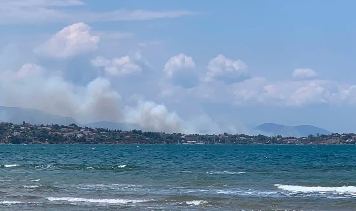 Φωτιά στη Δροσιά Χαλκίδας &#8211; Μήνυμα από το 112 &#8211; Στη μάχη 40 πυροσβέστες και έξι εναέρια μέσα