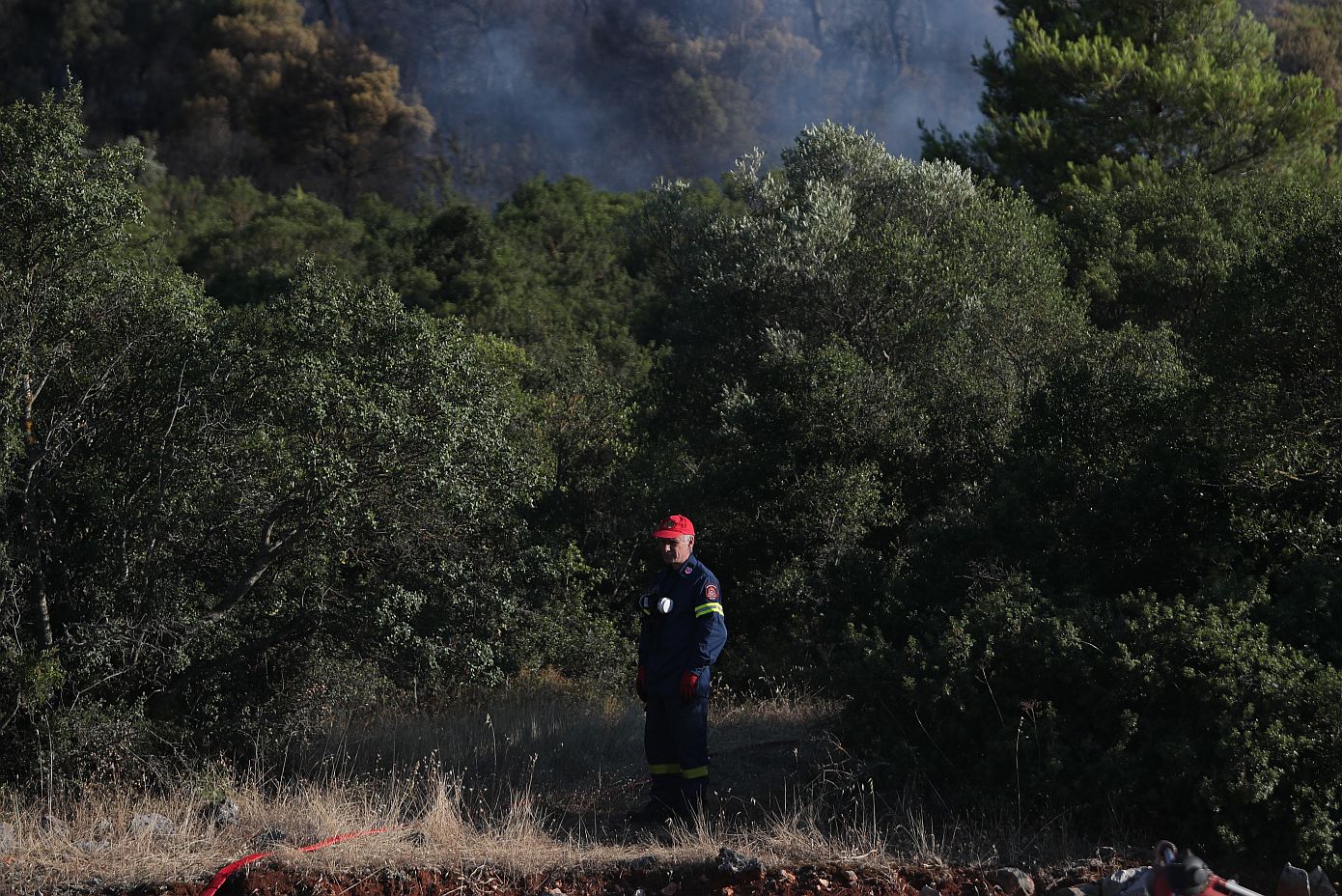 Βελτιωμένη η εικόνα της πυρκαγιάς στην Οινόη &#8211; Ενισχυμένες οι πυροσβεστικές δυνάμεις