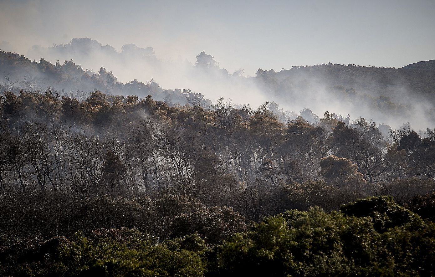 Η φωτιά στην Οινόη εμφανίζει πυροεπαγωγική συμπεριφορά – «δημιουργεί τον δικό της καιρό» σύμφωνα με το Meteo