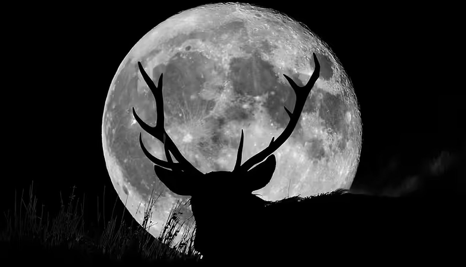 Πανσέληνος Ιουλίου 2026: Πότε θα δούμε το «Buck Moon» ή Φεγγάρι του Κόκκινου Ελαφιού