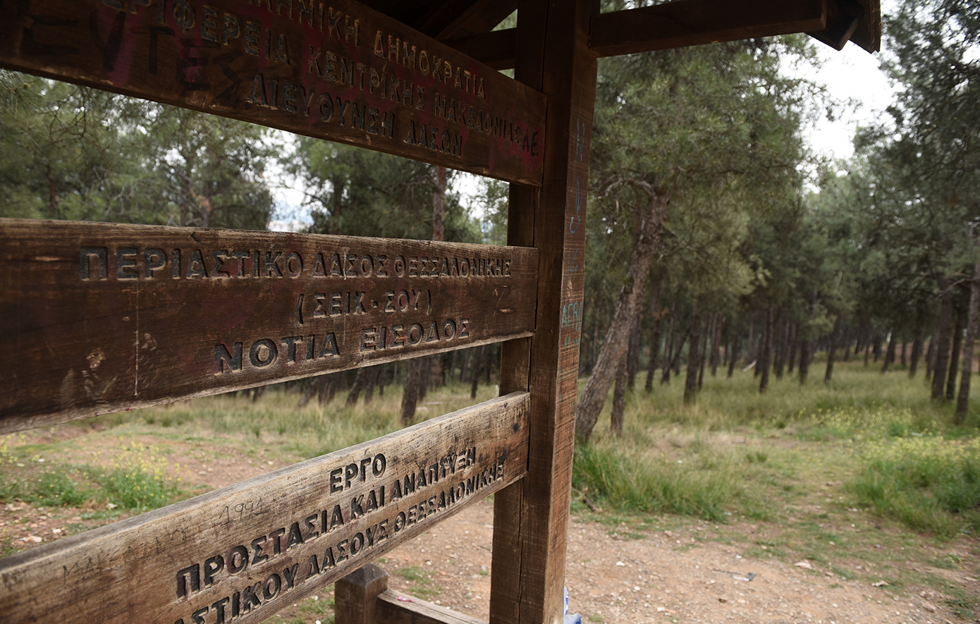 «Λουκέτο» στα δάση της Θεσσαλονίκης: Απαγορεύεται η κυκλοφορία σε Σέιχ Σου, Ωραιόκαστρο, Θέρμη και Πανόραμα