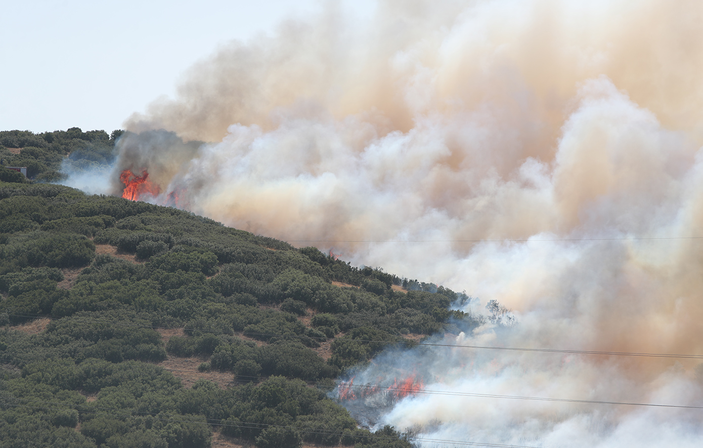 Από γεωργικές εργασίες με καταστροφέα ξεκίνησε η μεγάλη φωτιά στο Δερβένι Θεσσαλονίκης &#8211; Συνελήφθη 51χρονος