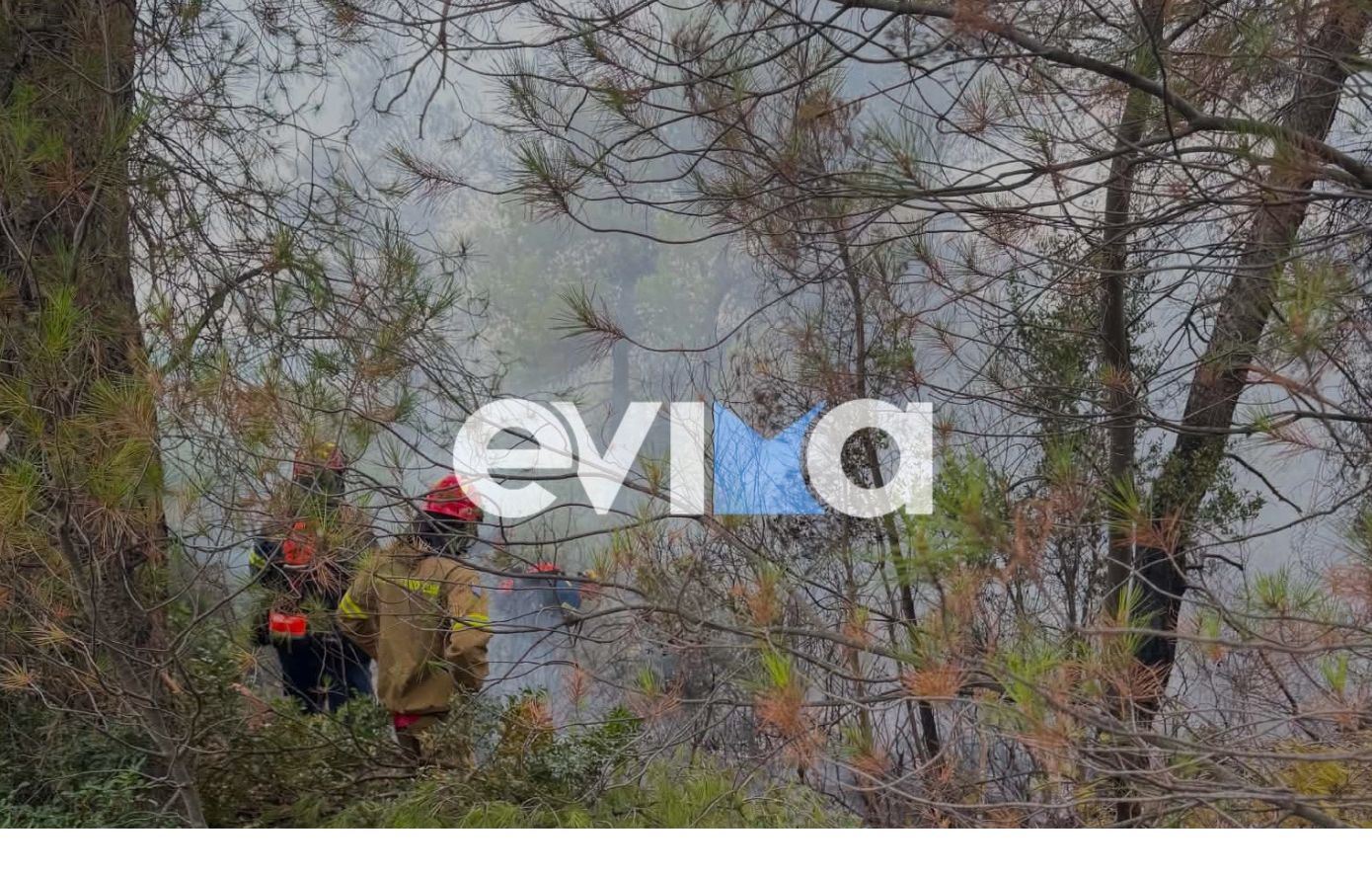 Φωτιά τώρα στο χωριό Μακρυκάπα στην Εύβοια