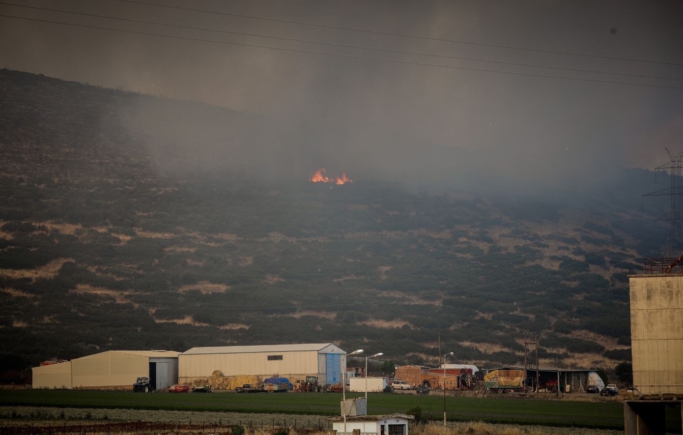 Βελτιωμένη εικόνα στη φωτιά στο Καλαπόδι Φθιώτιδας – Ενισχύθηκαν οι πυροσβεστικές δυνάμεις