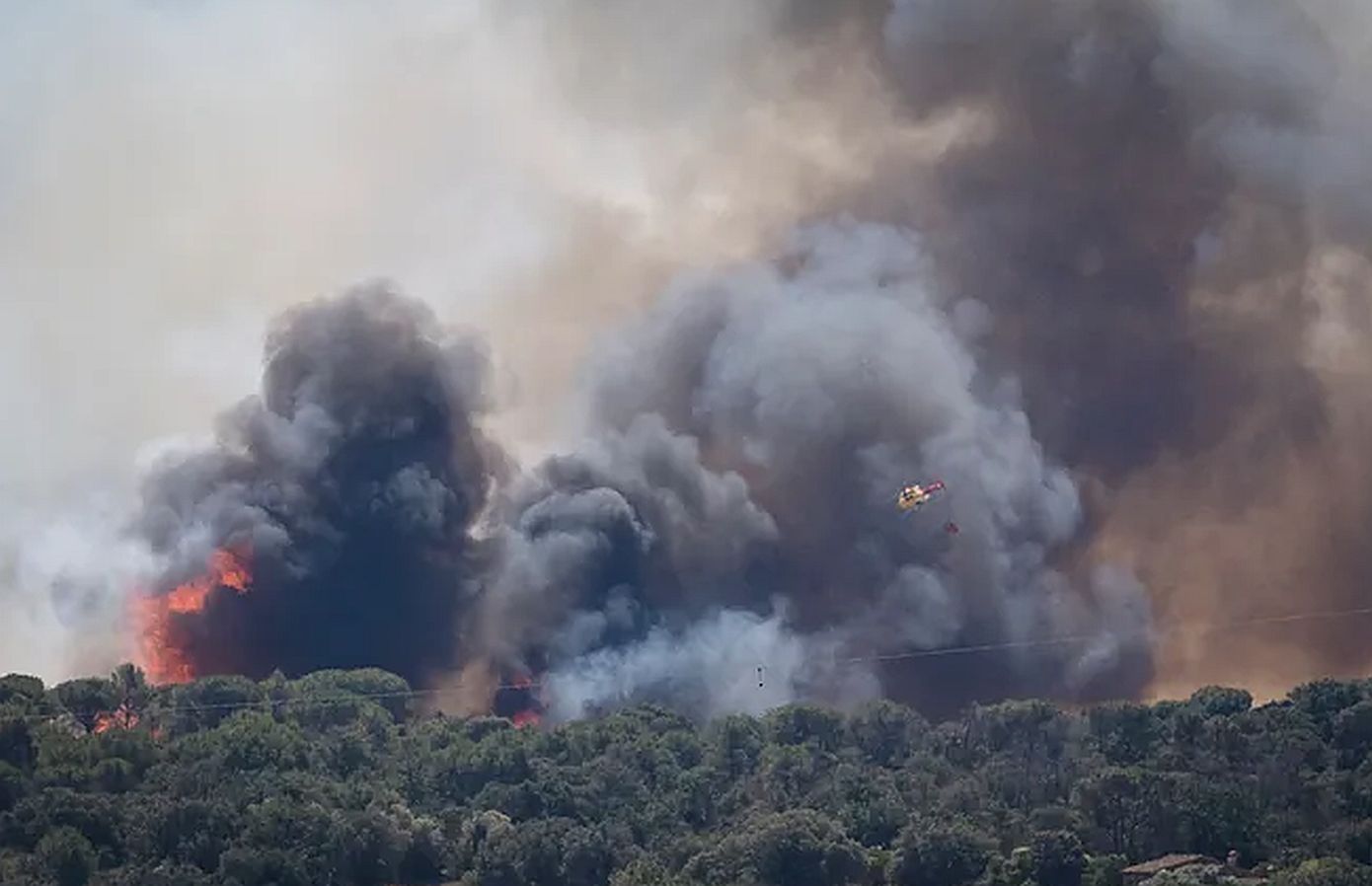 Φωτιές στη νότια Ευρώπη: Στάχτη χιλιάδες στρέμματα σε Γαλλία, Ισπανία και Πορτογαλία