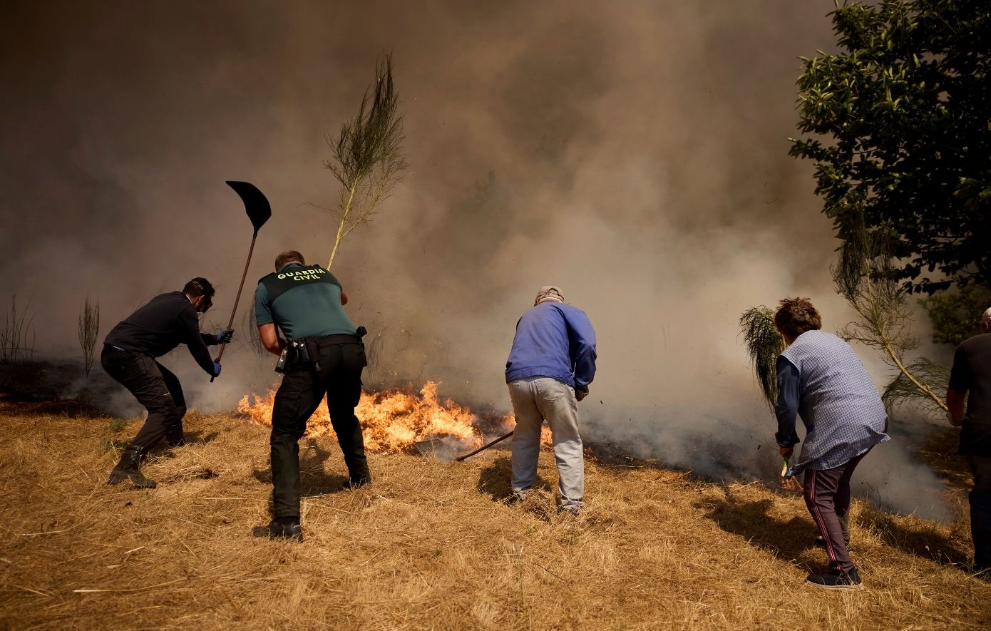 Συγκίνηση στην Ισπανία: Κάτοικοι χωριού έσωσαν από τη φωτιά τον «Αμπουέλο», την καστανιά ηλικίας άνω των 500 ετών