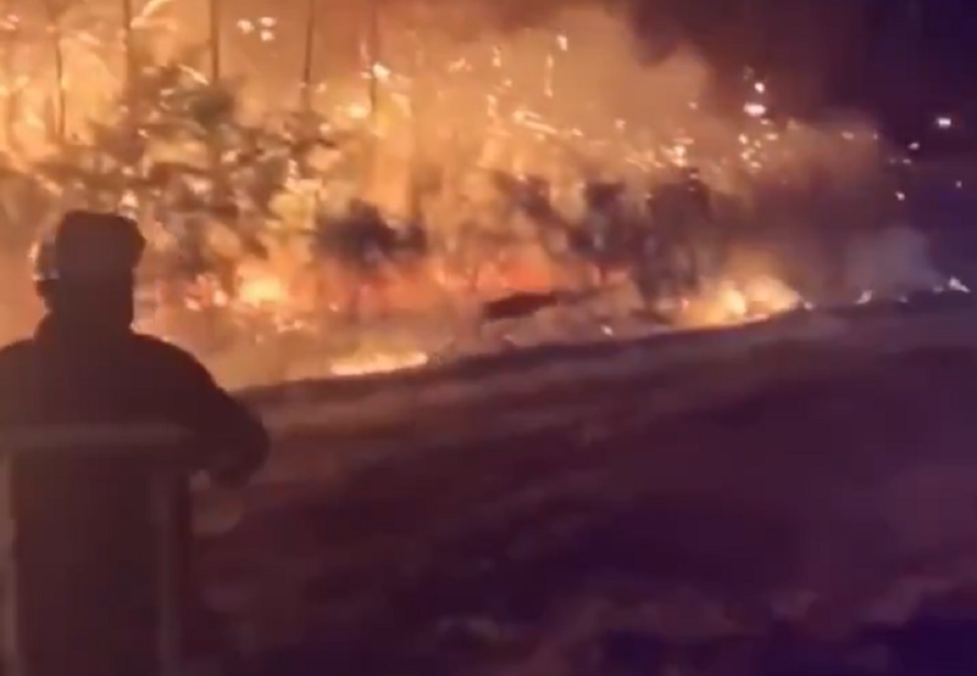 Συγκινητικό βίντεο από τις φωτιές στη Γαλλία: Πυροσβέστες βλέπουν ελάφι να τρέχει και του ρίχνουν νερό για να το σώσουν
