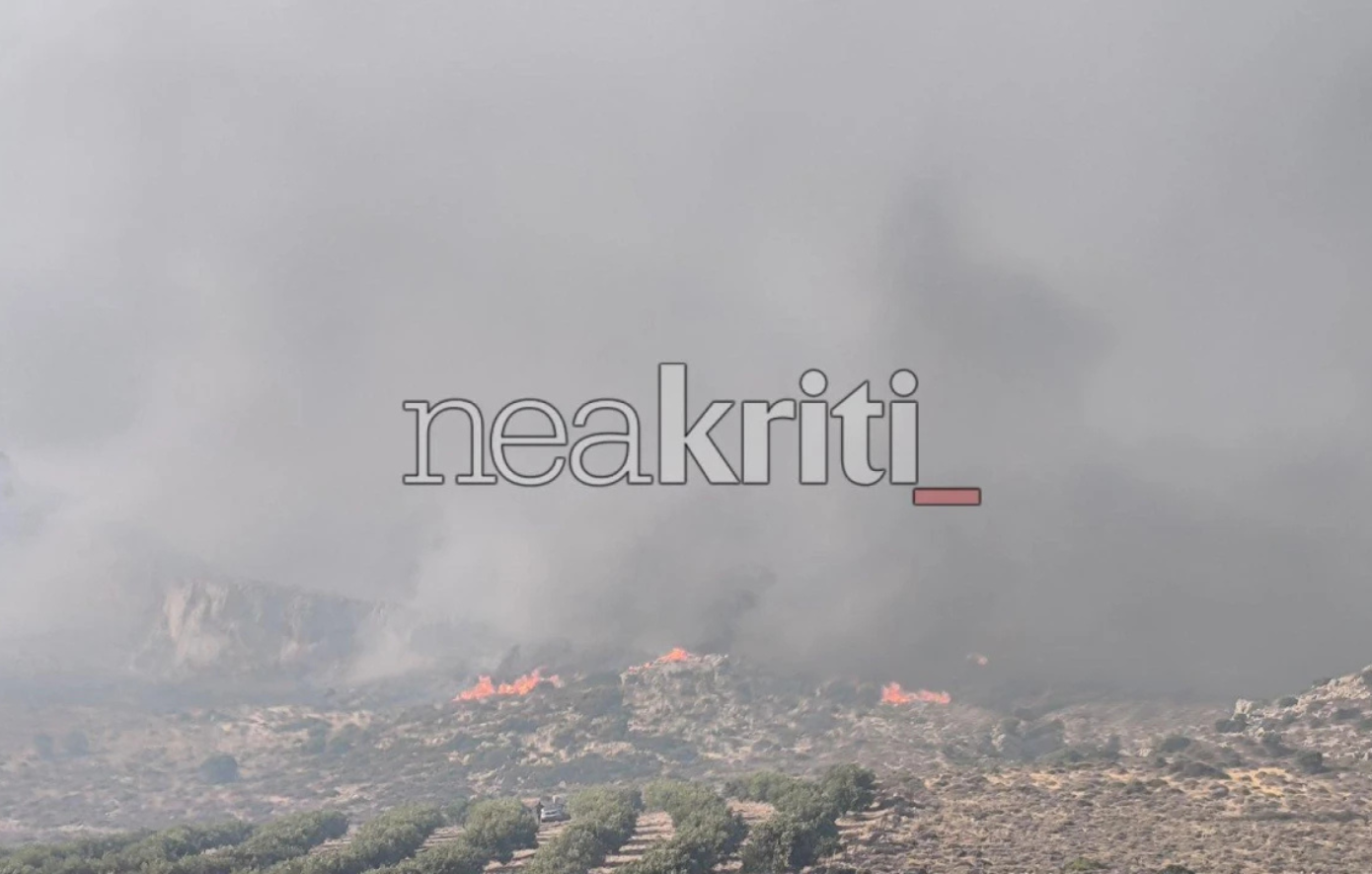 Νέα φωτιά στην Κρήτη: Μάχη με τις φλόγες στην Αγία Τριάδα Σητείας