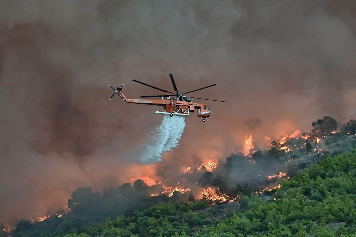 Υπό πύρινη πολιορκία το Πόρτο Γερμενό &#8211; Σε απόσταση αναπνοής από τα πρώτα σπίτια &#8211; Παλεύουν να μην φτάσει στα σύνορα με την Αττική