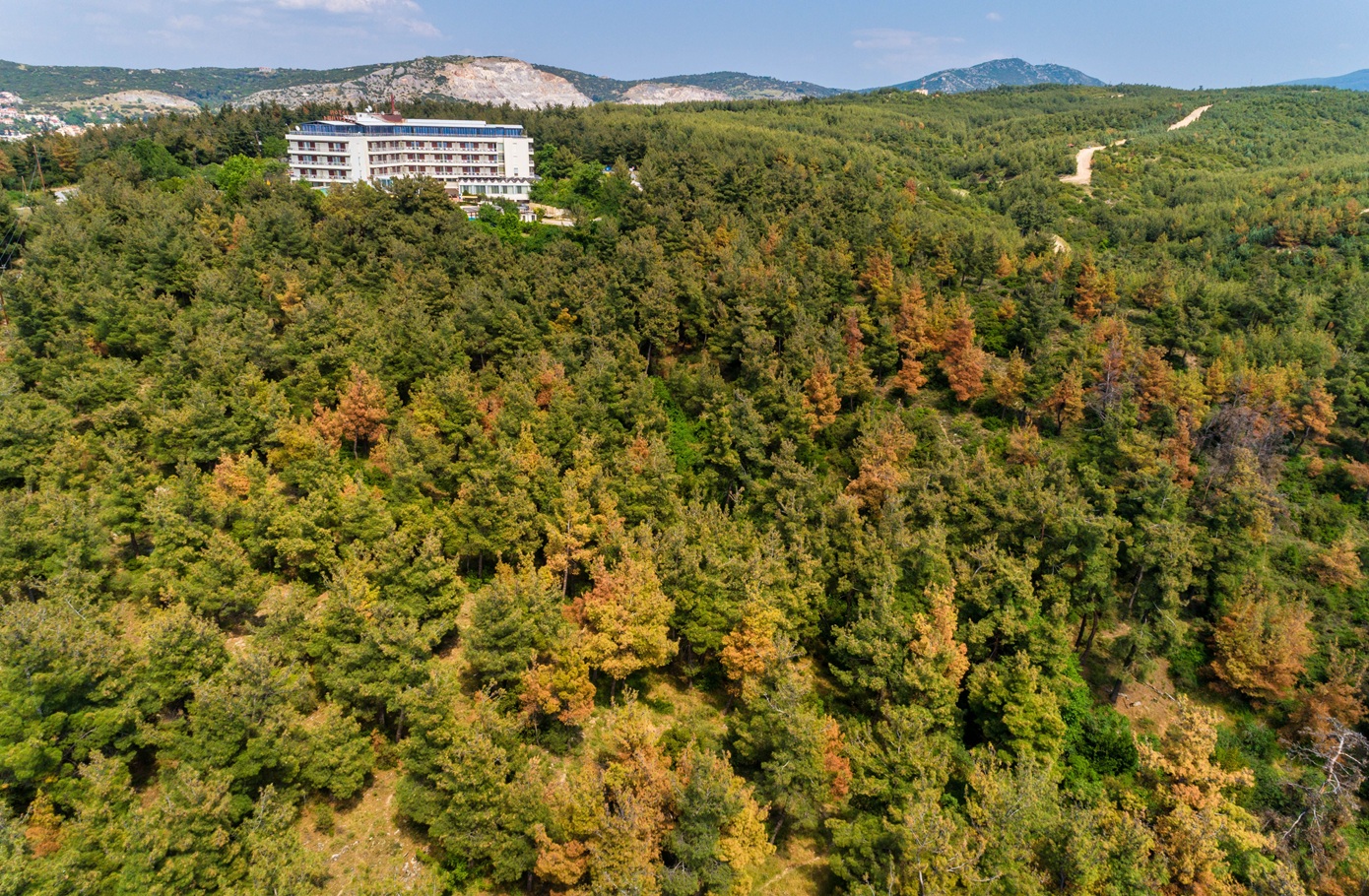 Θεσσαλονίκη: Απαγόρευση κυκλοφορίας αύριο σε Σέιχ Σου και δασικές εκτάσεις Ωραιοκάστρου, Θέρμης και Πανοράματος