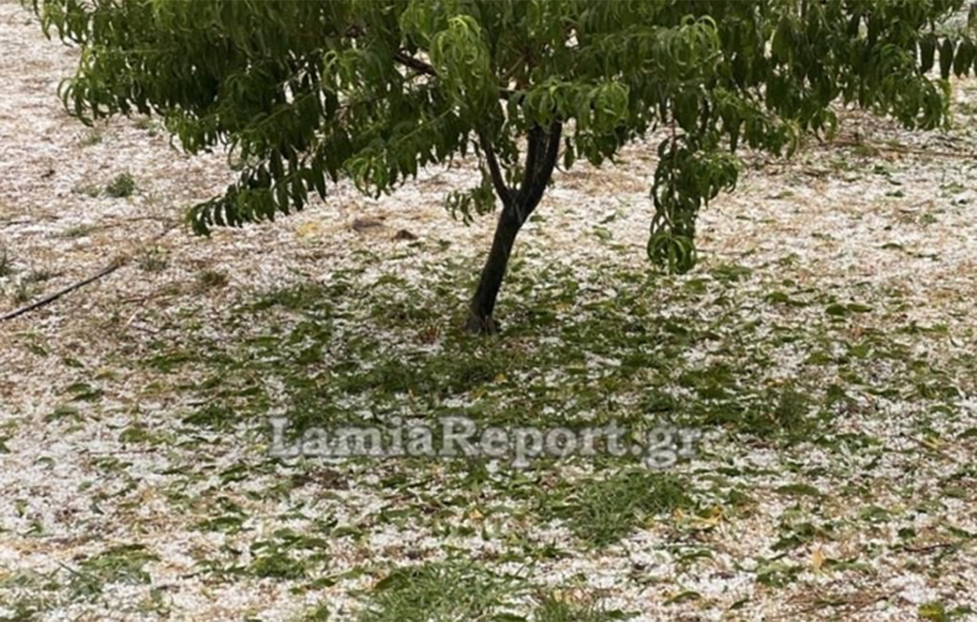 Από τους 40°C στο χαλάζι &#8211; Μεγάλες ζημιές σε καλλιέργειες στη Λαμία