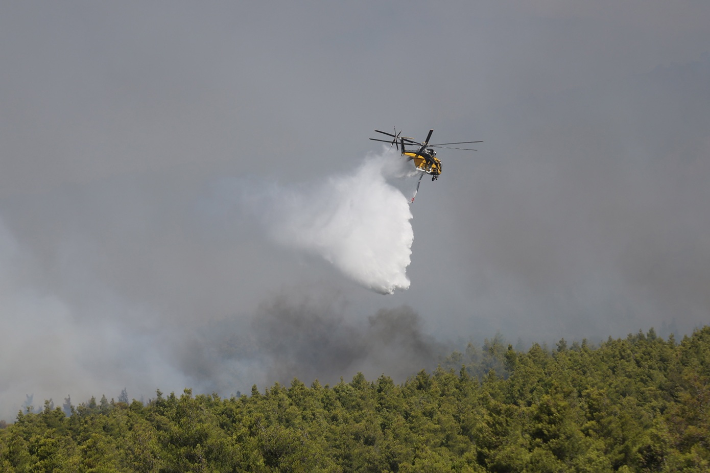 Πυρκαγιά στη Δυτική Αττική: Σχεδόν 500 πυροσβέστες στη μάχη με τις φλόγες &#8211; Στη δύναμη Γάλλοι και Ρουμάνοι &#8211; Νέα μηνύματα 112